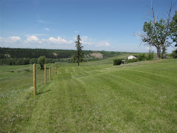 Bow Vista - Sets
