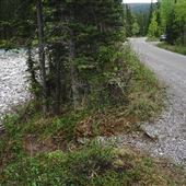 Beaver Flat