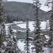Elbow Falls