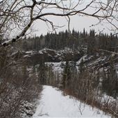 Elbow River Launch - Provincial Recreation Area