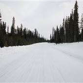 Mt Shark Road