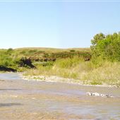 Willow Creek Campground