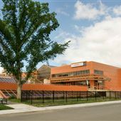 The Orange Hub