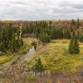 Whitemud Ravine (119B Street)