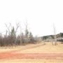 Edworthy Park