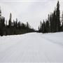 Mt Shark Road