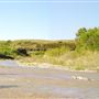 Willow Creek Campground