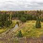 Whitemud Ravine (119B Street)
