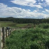 CL Ranch - Working Ranch