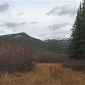 Forgetmenot Pond Area