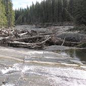 Livingstone Falls