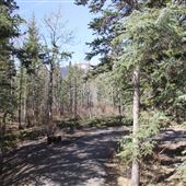 Mount Lorette Ponds