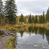 Mactaggart Sanctuary