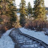 Laurier Trails