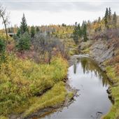 Whitemud Ravine South (Osborne Crescent - 23rd Avenue)