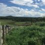 CL Ranch - Working Ranch