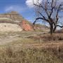 Doulee Coulee