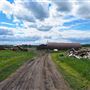 Turner Farm