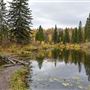 Mactaggart Sanctuary