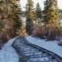 Laurier Trails