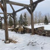 William F. Lede Park (Winter)