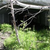 Greenhill Mine