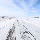 Longview Back Roads
