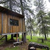 Millarville Treehouse