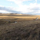 Pekisko Creek