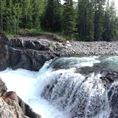 Sheep River Falls