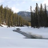 Sunwapta Falls