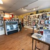 Mandolin Books