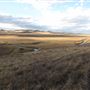 Pekisko Creek