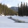 Sunwapta Falls
