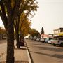 Devon Main Street