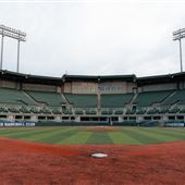 REMAX Field