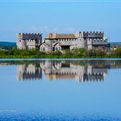 Ryan's Castle