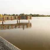 Telford Lake Boardwalk