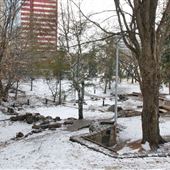 Beaver Hills House Park