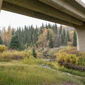 Whitemud Ravine (56 Avenue - Whitemud Drive)