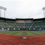 REMAX Field