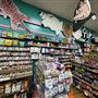 Meadow Lane Candy & Gifts