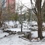 Beaver Hills House Park