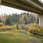 Whitemud Ravine (56 Avenue - Whitemud Drive)