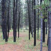 Etherington Creek Provincial Recreation Area