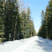 McLean Creek - Husky Road
