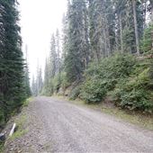 Baldy Tower Rd