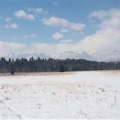 Stoney Nakoda