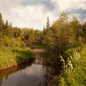 Whitemud Park
