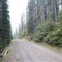Baldy Tower Rd